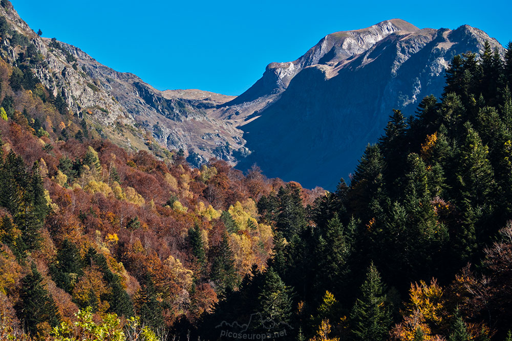 En los alrededores del Salt deth Pish en la Vall d'Aran, Pirineos, Catalunya.